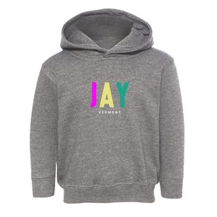 Jay Vermont Color Pop Toddler Hoodie