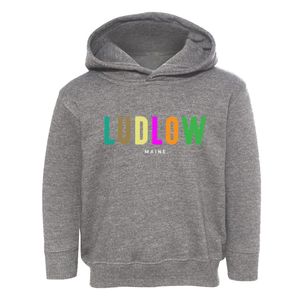 Ludlow Maine Color Pop Toddler Hoodie