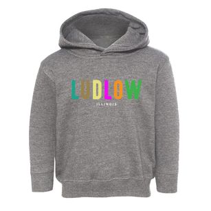 Ludlow Illinois Color Pop Toddler Hoodie