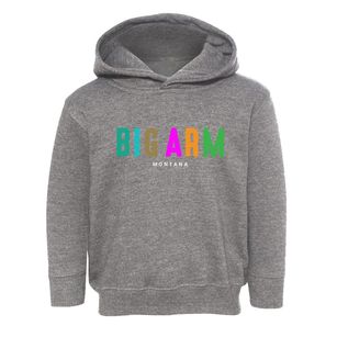 Big Arm Montana Color Pop Toddler Hoodie