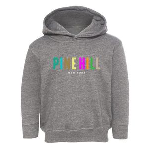 Pine Hill New York Color Pop Toddler Hoodie