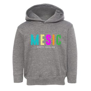 Mesic North Carolina Color Pop Toddler Hoodie