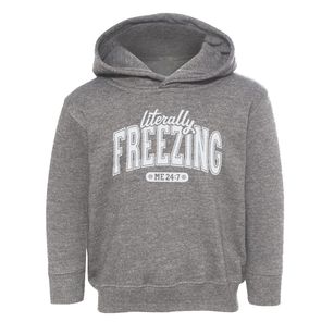   Literally Freezing Toddler Hoodie
