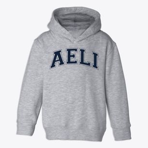 Academy For Early Learning Independent Chartered School Varsity Arch Toddler Hoodie