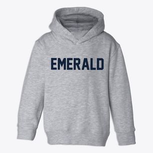 Emerald Wisconsin Classic Block Toddler Hoodie