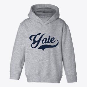 Yale Michigan Vintage Team Toddler Hoodie