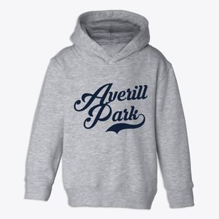 Averill Park New York Vintage Team Toddler Hoodie