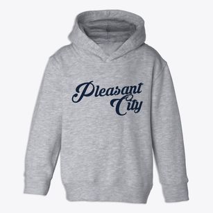 Pleasant City Ohio Vintage Team Toddler Hoodie