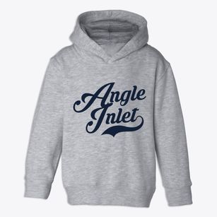 Angle Inlet Minnesota Vintage Team Toddler Hoodie