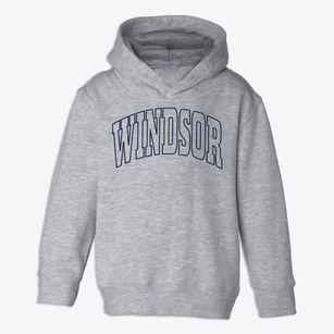 Windsor Colorado Trendy Block Toddler Hoodie
