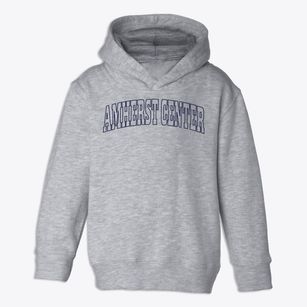 Amherst Center Massachusetts Trendy Block Toddler Hoodie