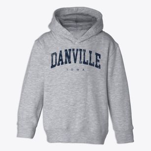 Danville Iowa Urban Vibe Toddler Hoodie
