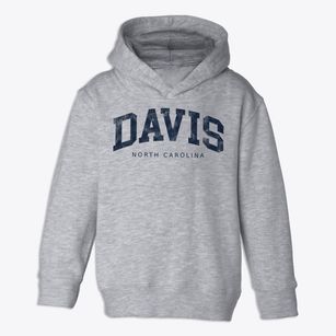 Davis North Carolina Urban Vibe Toddler Hoodie