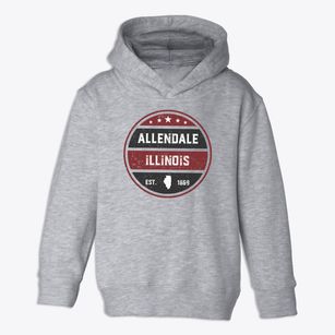 Allendale Illinois Americana Toddler Hoodie