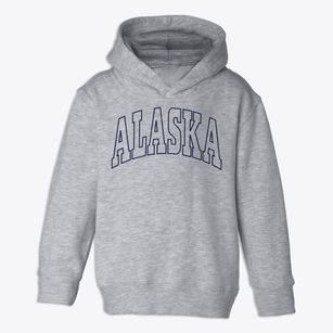  Alaska Trendy State Toddler Hoodie