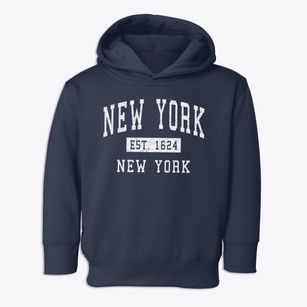 New York City New York Classic Established Toddler Hoodie