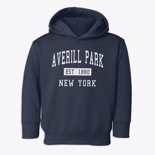 Averill Park New York Classic Established Toddler Hoodie