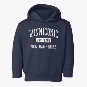 Winniconic New Hampshire Classic Established Toddler Hoodie