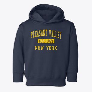 Pleasant Valley New York Classic Established Toddler Hoodie