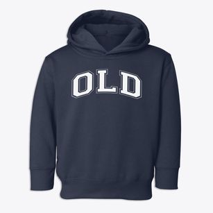 Old Point Avenue Elementary School Varsity Arch Toddler Hoodie
