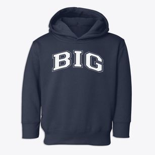 Big Burning Public School Varsity Arch Toddler Hoodie
