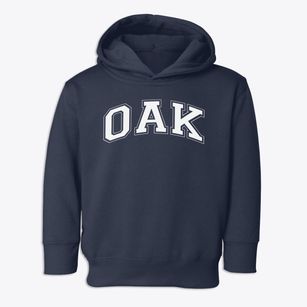 Oak Cliff Special Education Center Varsity Arch Toddler Hoodie