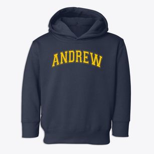 Andrew Community School Varsity Arch Toddler Hoodie