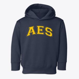 Academy Of Environmental Science Varsity Arch Toddler Hoodie