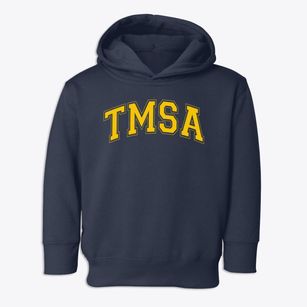 Triad Math And Science Academy Varsity Arch Toddler Hoodie