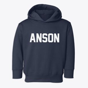 Anson Texas Classic Block Toddler Hoodie
