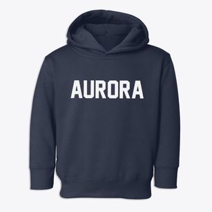 Aurora New York Classic Block Toddler Hoodie