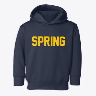 Spring Texas Classic Block Toddler Hoodie