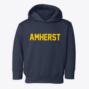 Amherst Wisconsin Classic Block Toddler Hoodie
