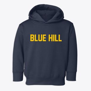 Blue Hill Nebraska Classic Block Toddler Hoodie