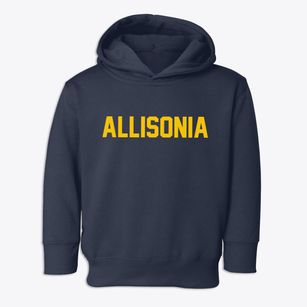 Allisonia Virginia Classic Block Toddler Hoodie