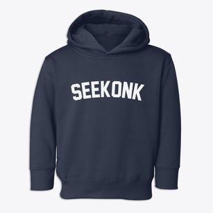Seekonk Massachusetts Classic Curve Toddler Hoodie