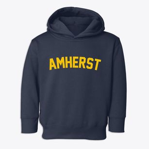 Amherst Massachusetts Classic Curve Toddler Hoodie