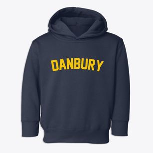 Danbury Iowa Classic Curve Toddler Hoodie