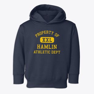 Hamlin New York Athletic Dept Toddler Hoodie