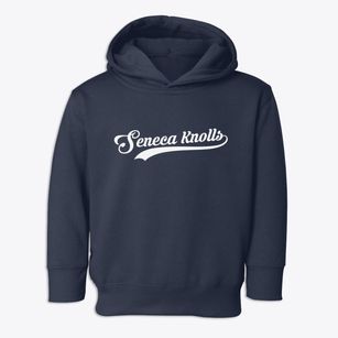 Seneca Knolls New York Vintage Team Toddler Hoodie