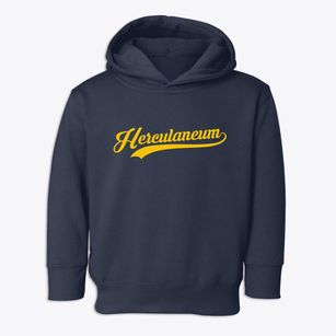 Herculaneum Missouri Vintage Team Toddler Hoodie