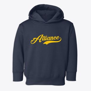 Alliance North Carolina Vintage Team Toddler Hoodie