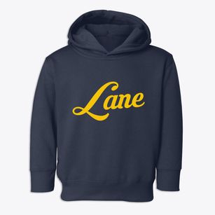 Lane South Carolina Vintage Team Toddler Hoodie