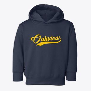 Oakview Missouri Vintage Team Toddler Hoodie