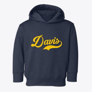 Davis North Carolina Vintage Team Toddler Hoodie