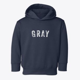Gray Tennessee Timeless Retro Toddler Hoodie