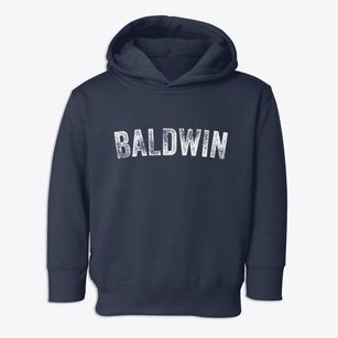 Baldwin Michigan Timeless Retro Toddler Hoodie