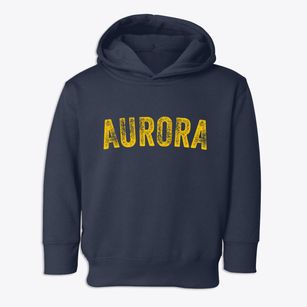 Aurora Illinois Timeless Retro Toddler Hoodie