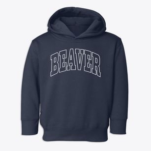 Beaver Wisconsin Trendy Block Toddler Hoodie