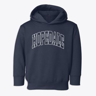 Hopedale Illinois Trendy Block Toddler Hoodie